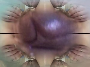 Fischfutter für pussis