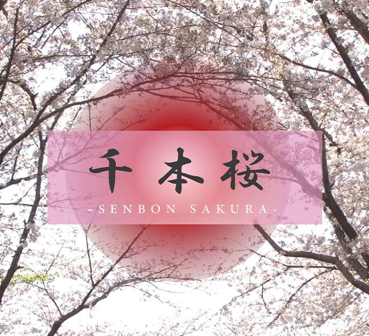 FC2-4467151 【純白の美天使】 他の追随を許さない圧倒的透明感初めての中イキを魅せる極秘ファイ-cd2